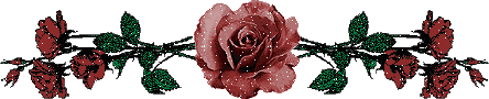 big rose