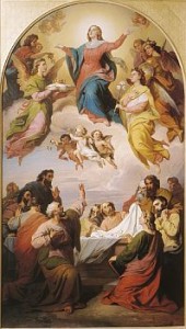 Our Immaculate Mother, assumed into Heaven
